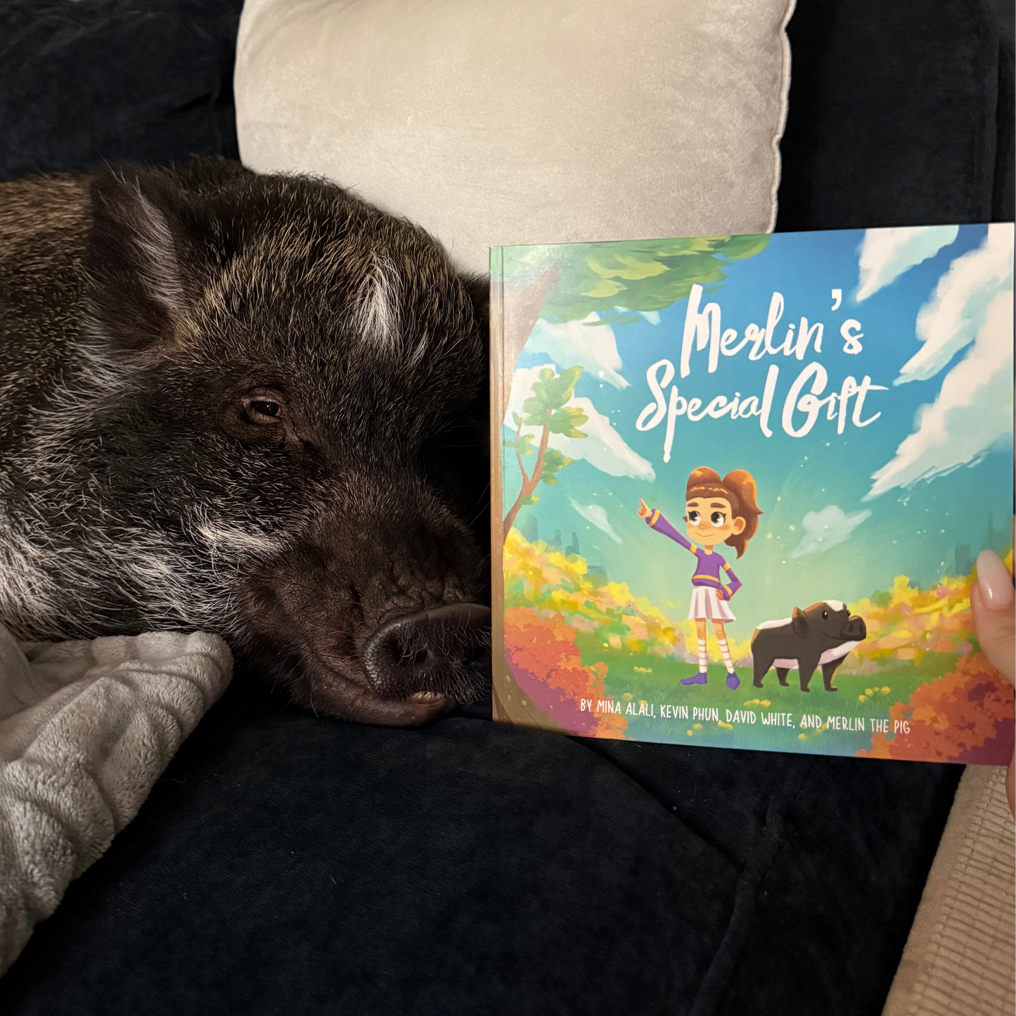 LIMITED EDITION BUNDLE: Merlin's Special Gift (Children's Book) & 2 Stickers - Signed by Merlin and Mina