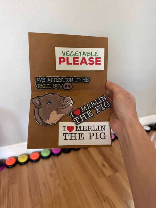 Merlin Sticker Bundle (5)